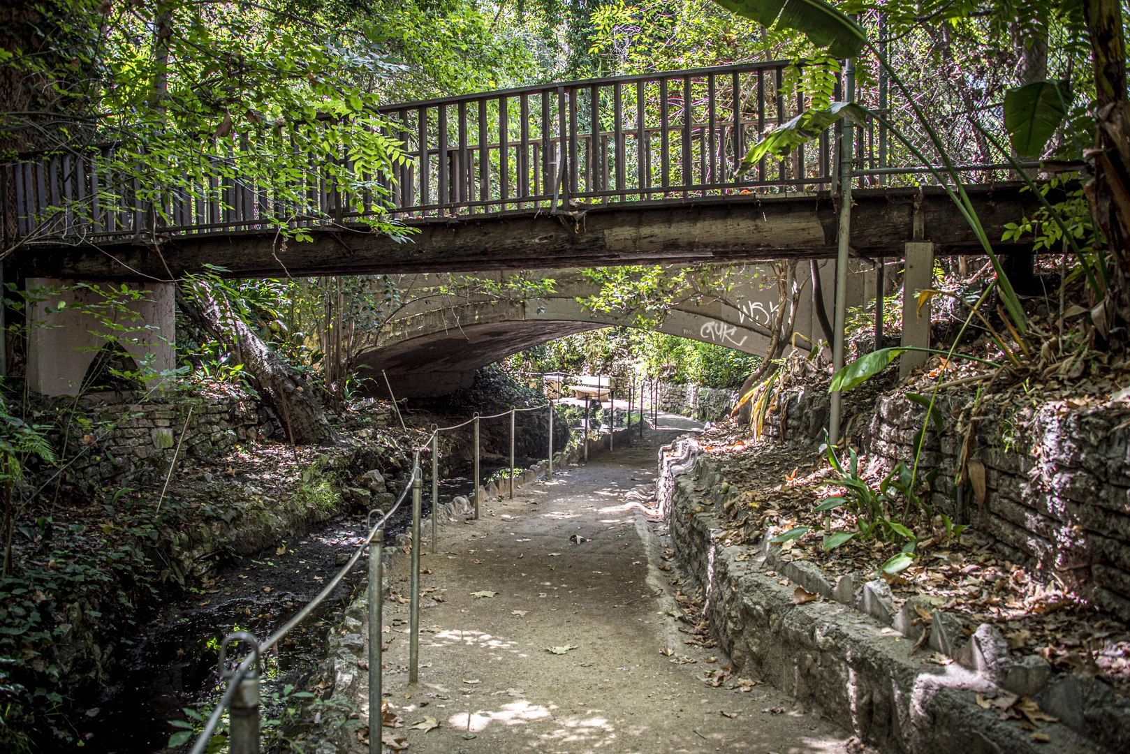 An image depicting the trail Fern Canyon Trail and its surrounding area.