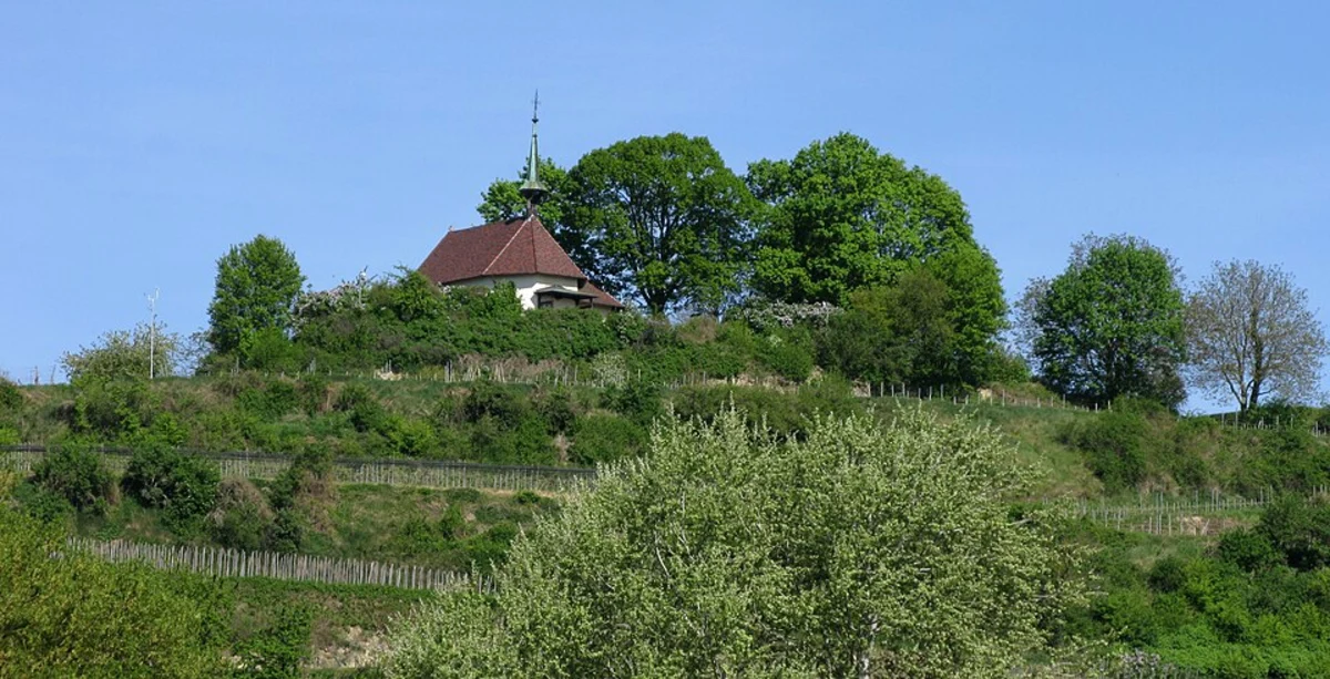 Munzingen to Gottenhein Walk