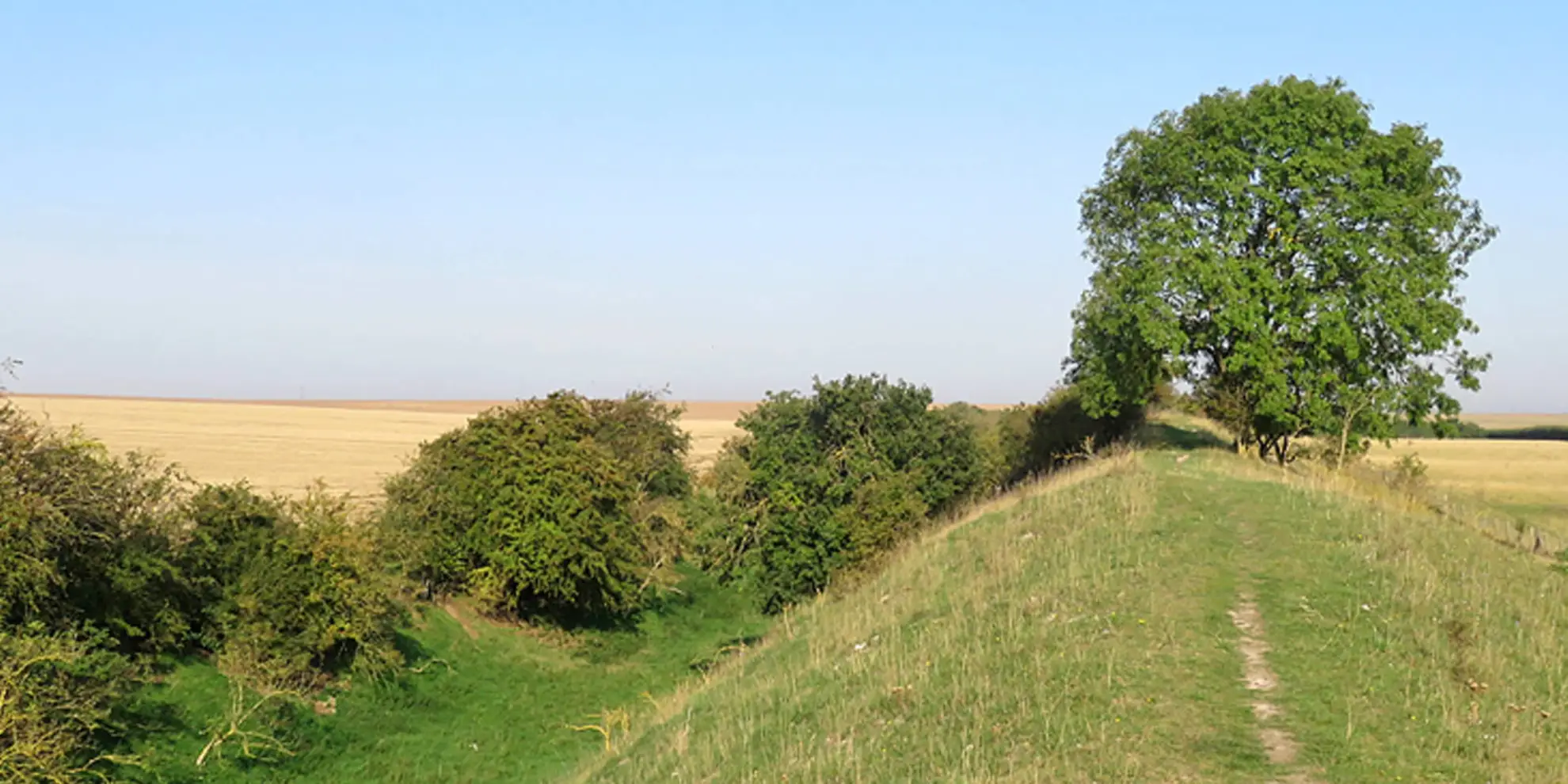 An image depicting the trail The Devil's Dyke from Reach and its surrounding area.
