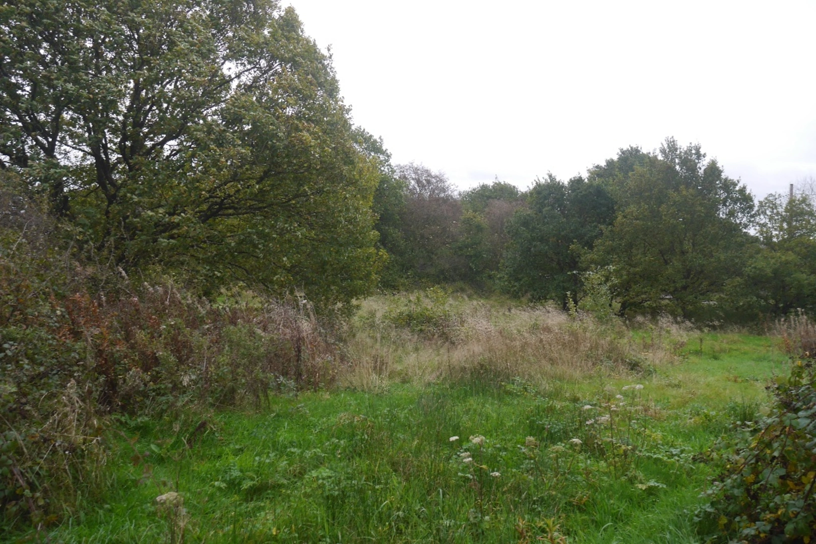 An image depicting the trail Merrington Green and Upper Fenemere Loop and its surrounding area.