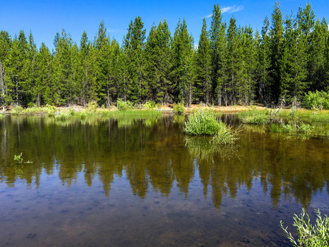 Windy Lakes Trail