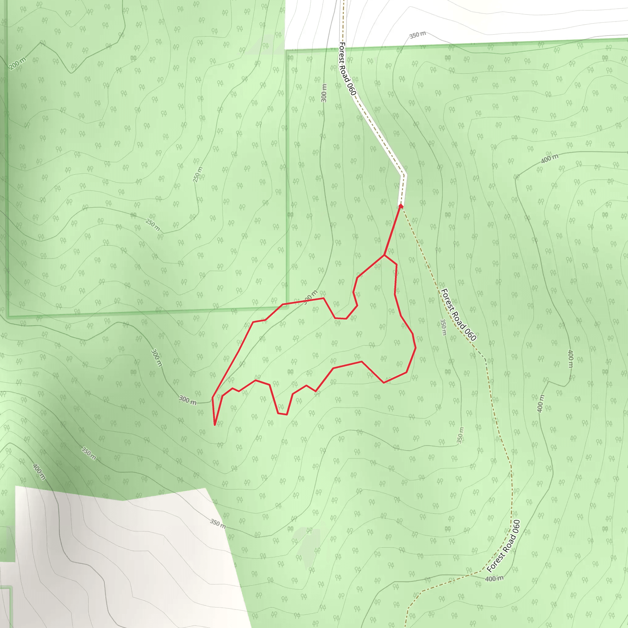 Forest Road 060 Loop mobile static map