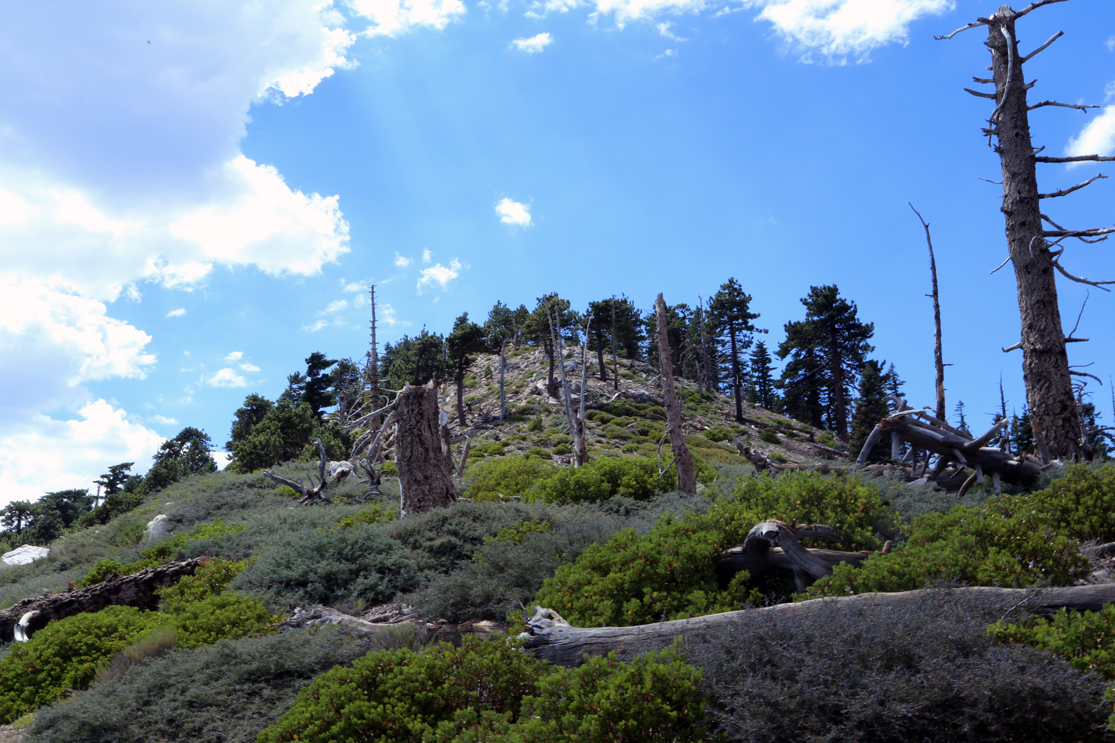 An image depicting the trail Mount Islip Big Cienega Loop and its surrounding area.