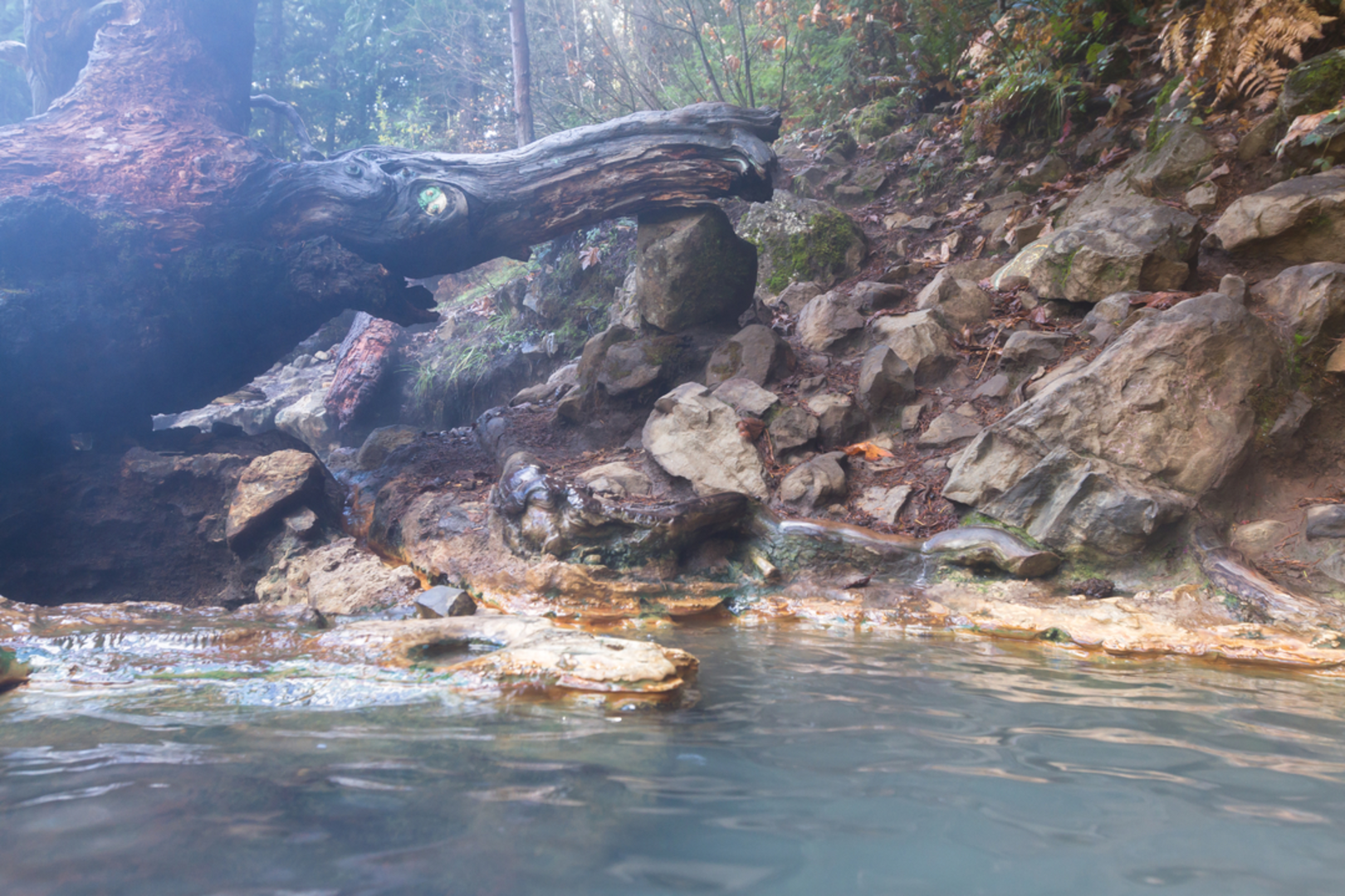 An image depicting the trail Umpqua Hot Springs Trail and its surrounding area.