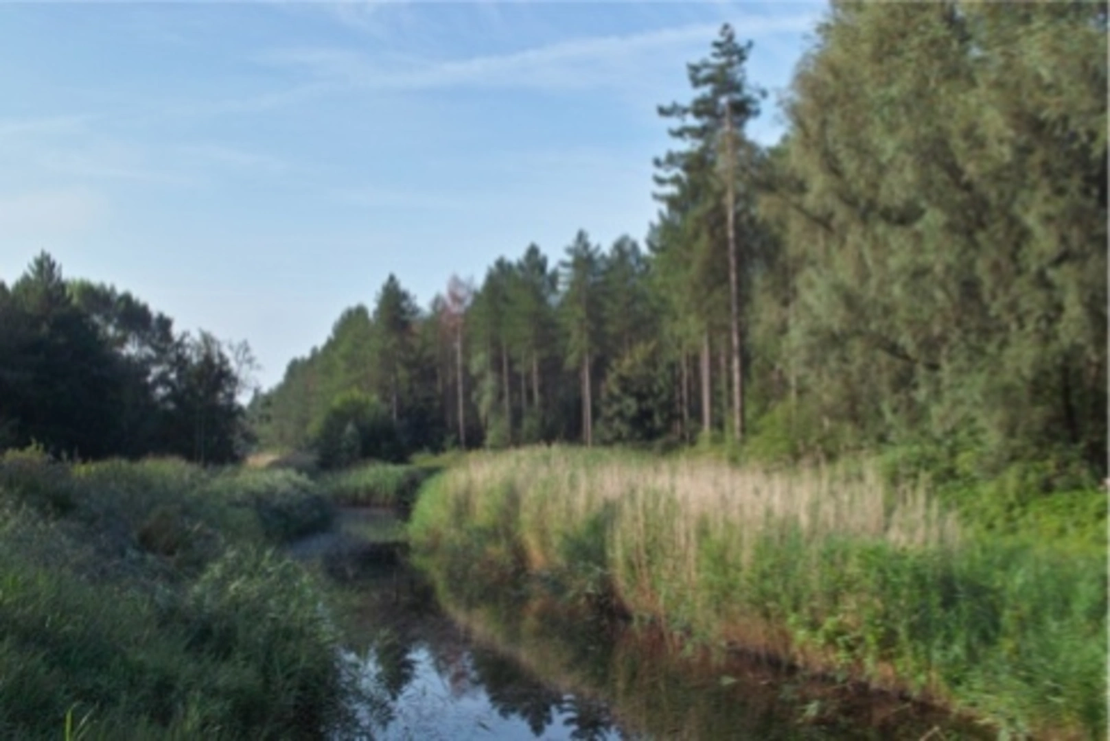 An image depicting the trail Roggebotzand Loop and its surrounding area.