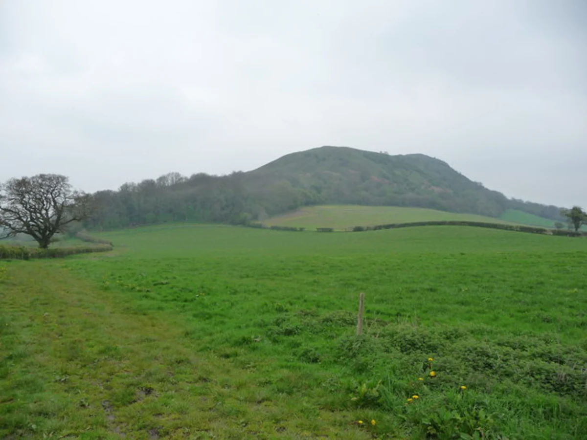 Pontesford Hill and Earl's Hill Loop
