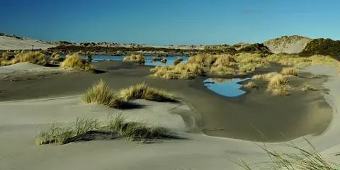 An image depicting the trail Cape Farewell and Pillar Point Lighthouse Track and its surrounding area.
