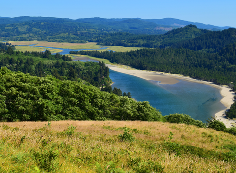 An image depicting the trail Hart's Cove Trail and its surrounding area.