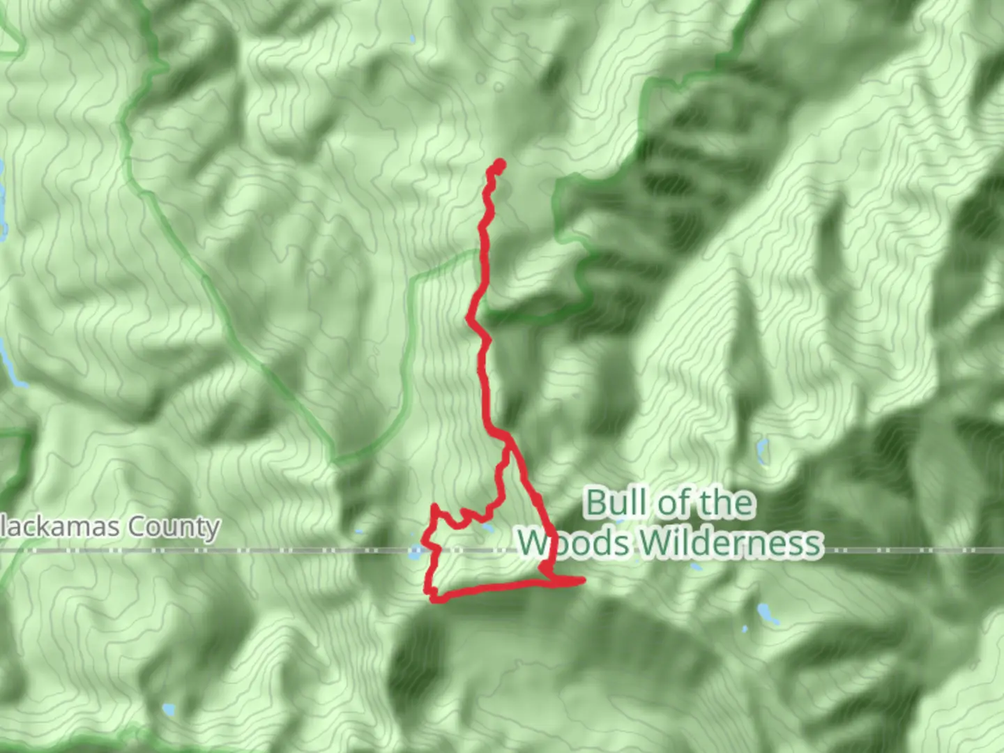 An image depicting the trail Bull of the Woods Trail and Pansy Lake Loop and its surrounding area.