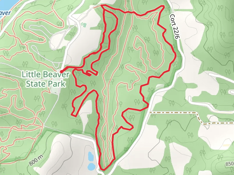 Laurel Creek and Deer Loop Trail