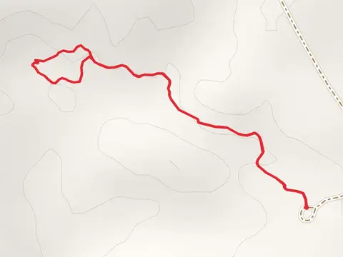 Castle Gardens Petroglyphs