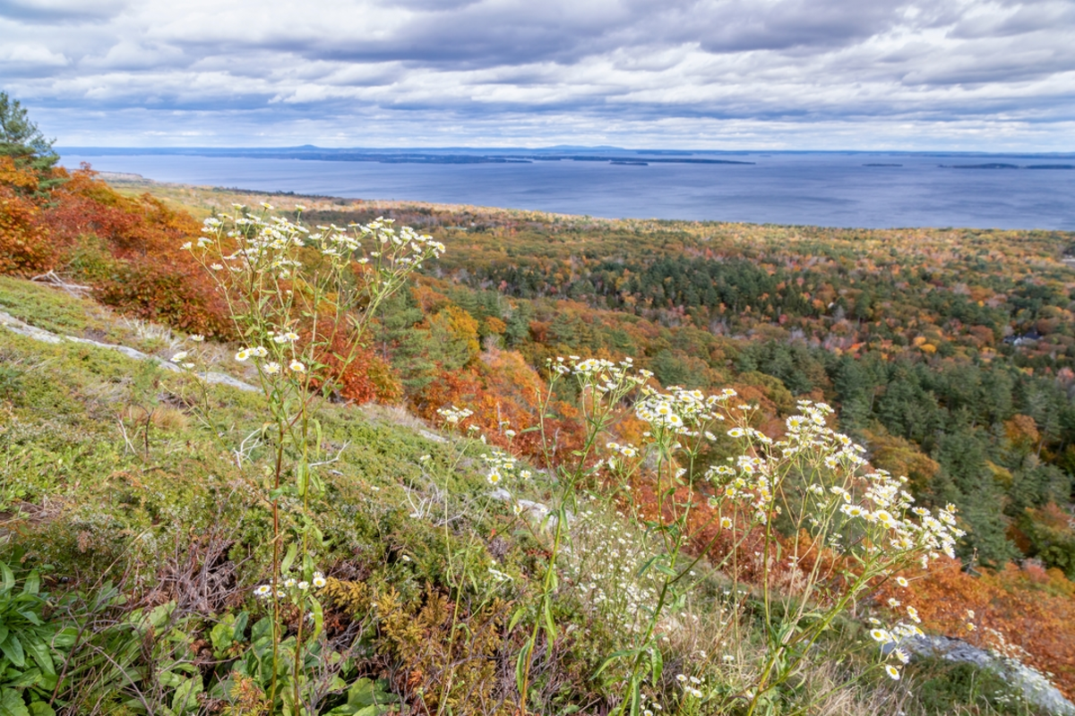 Bald Rock Mountain Loop