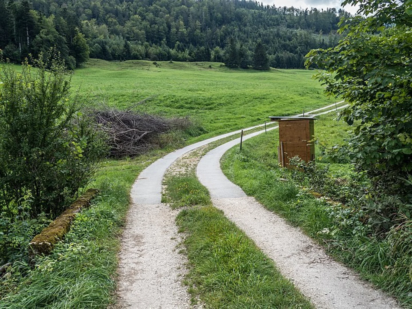 An image depicting the trail Welschenrohr Loop Trail and its surrounding area.