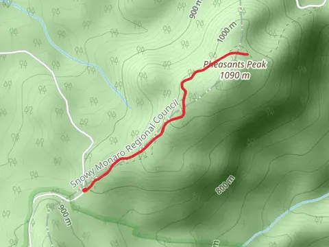 Pheasants Peak Track