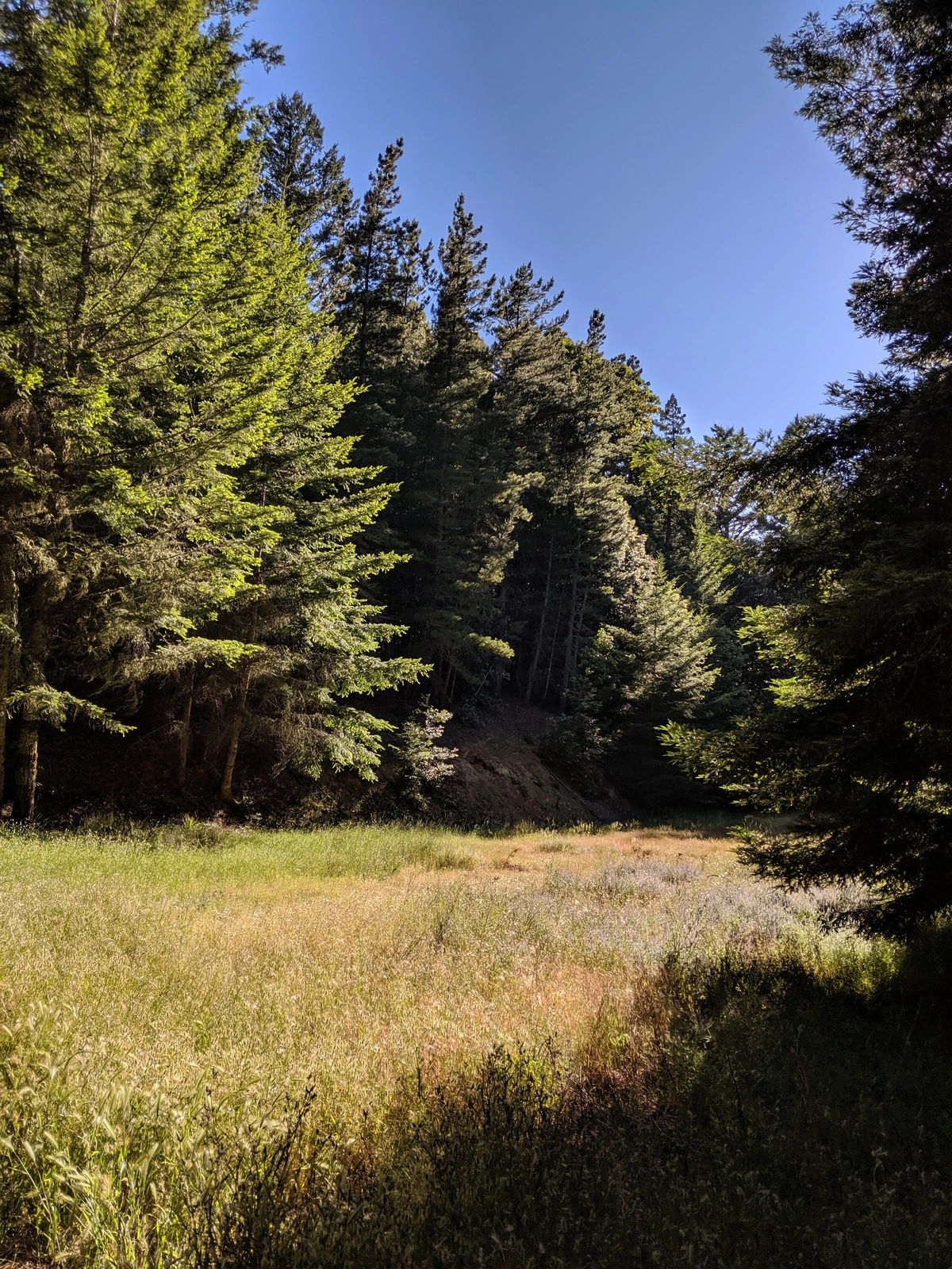 Tafoni Trail and Resolution Loop Trail