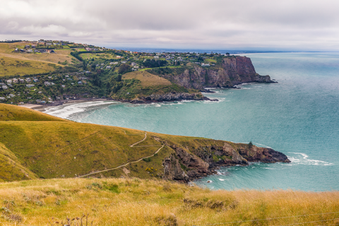 Taylors Mistake to Sumner Beach Coastal Walk