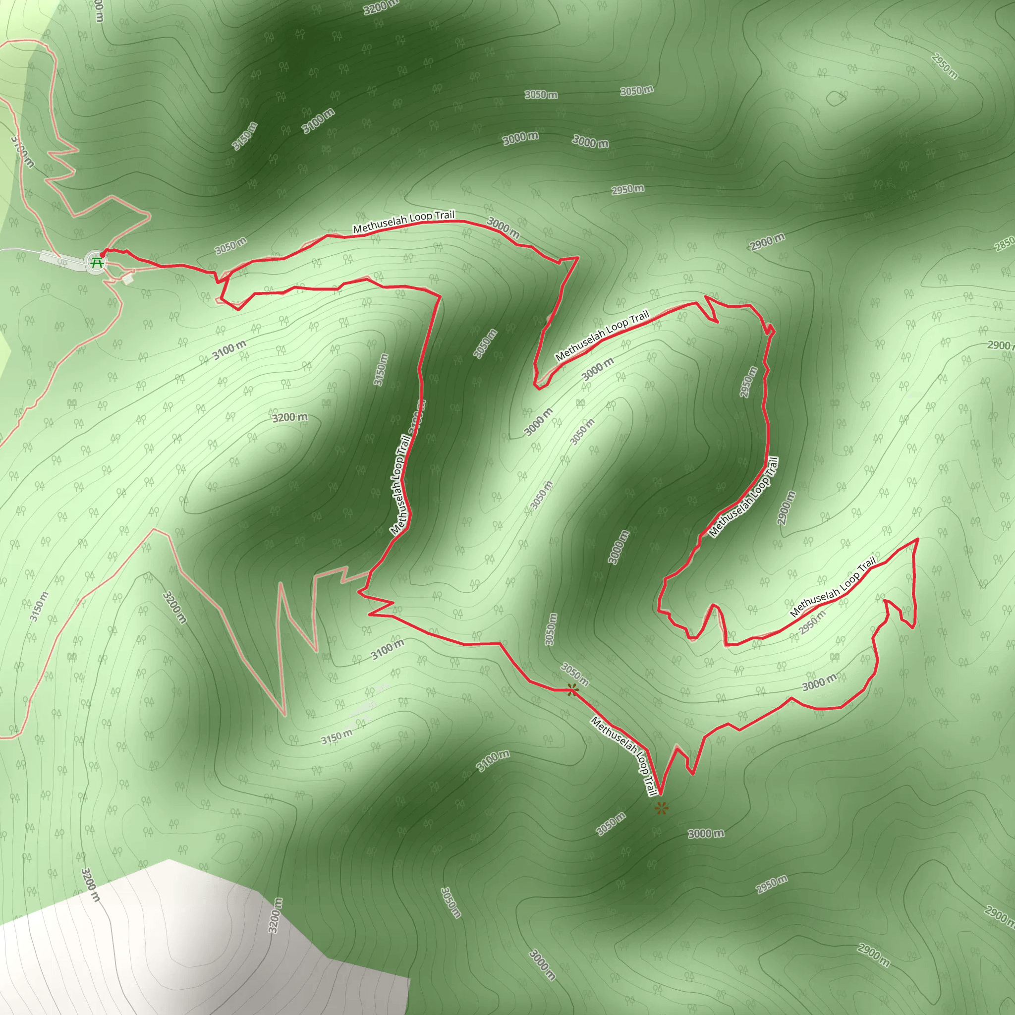 Methuselah Trail mobile static map
