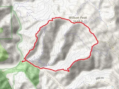 Lyman Willson Ridge and Steer Ridge Loop Trail