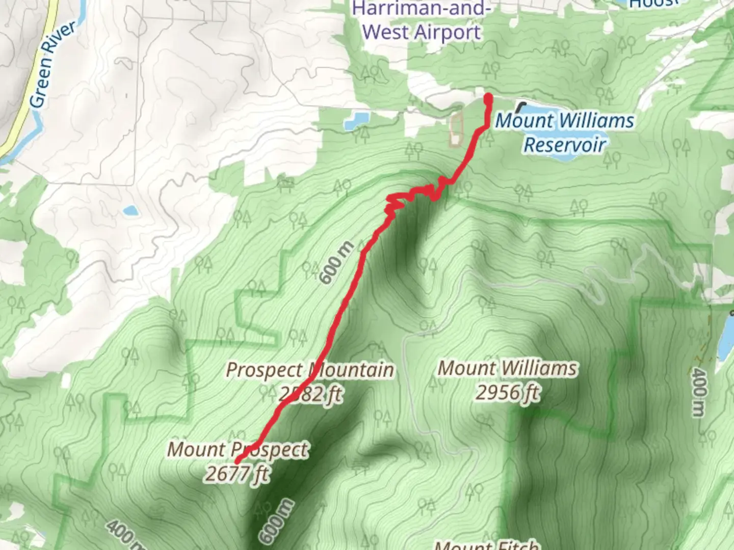 An image depicting the trail Mount Prospect and its surrounding area.