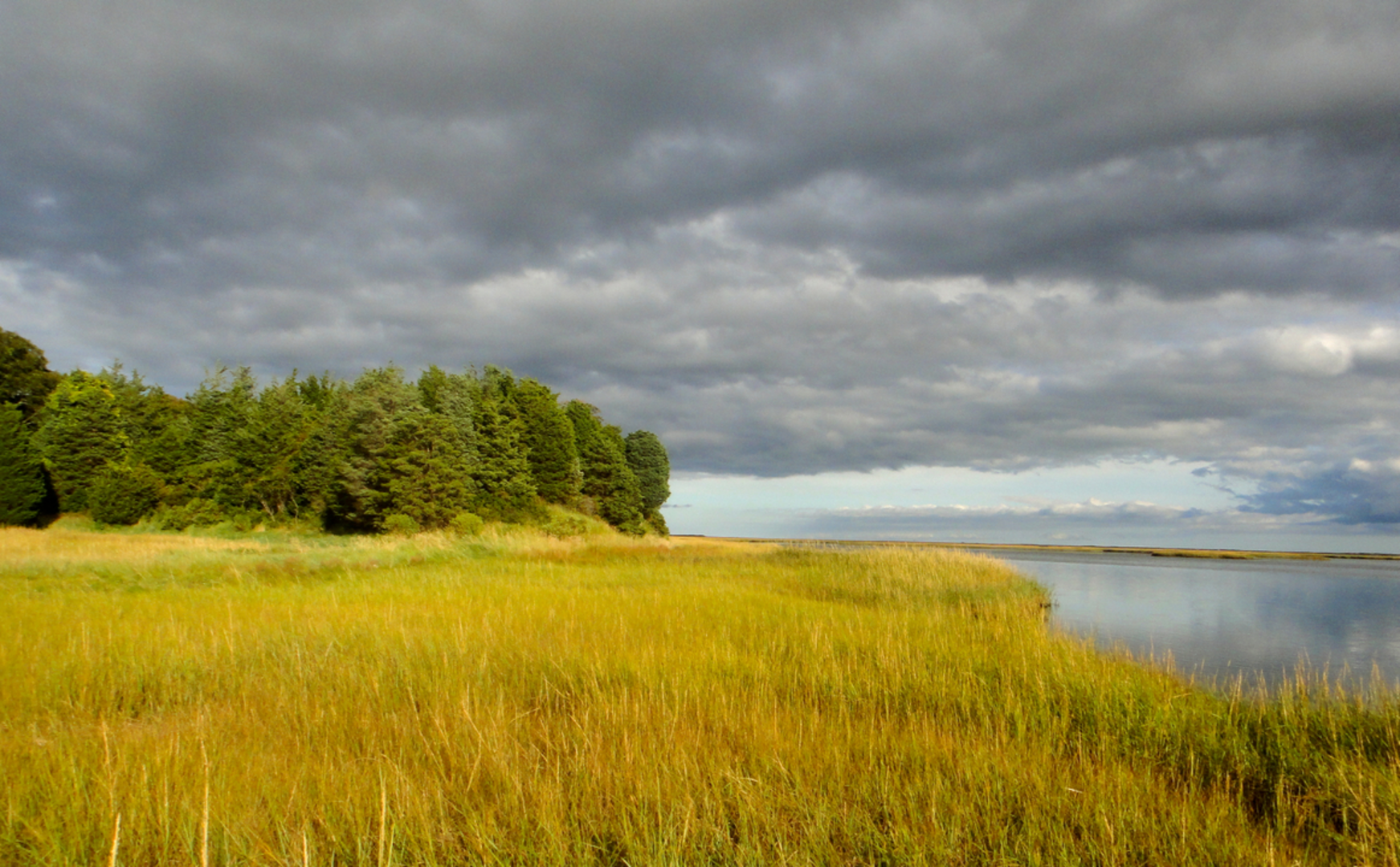 An image depicting the trail Salt Pond - Nauset Marsh Trail and its surrounding area.