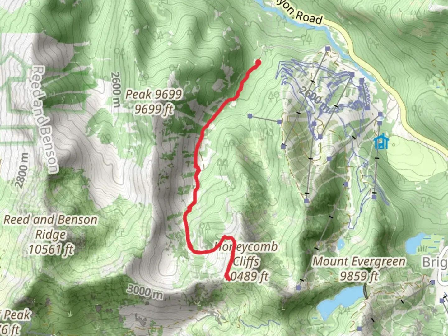 An image depicting the trail Silver Fork Trail Out and Back and its surrounding area.