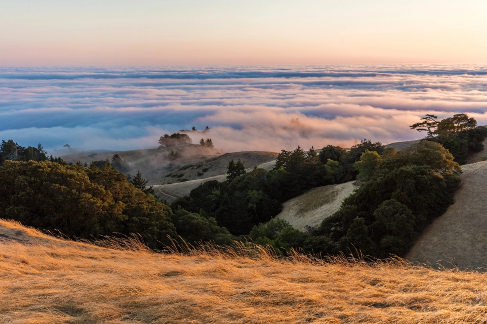 An image depicting the trail Muir Woods to Mount Tamalpais Trail and its surrounding area.