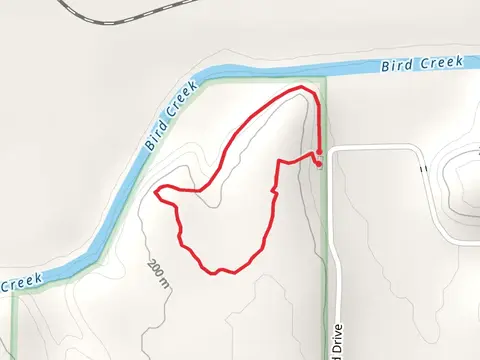 Loop along Bird Creek