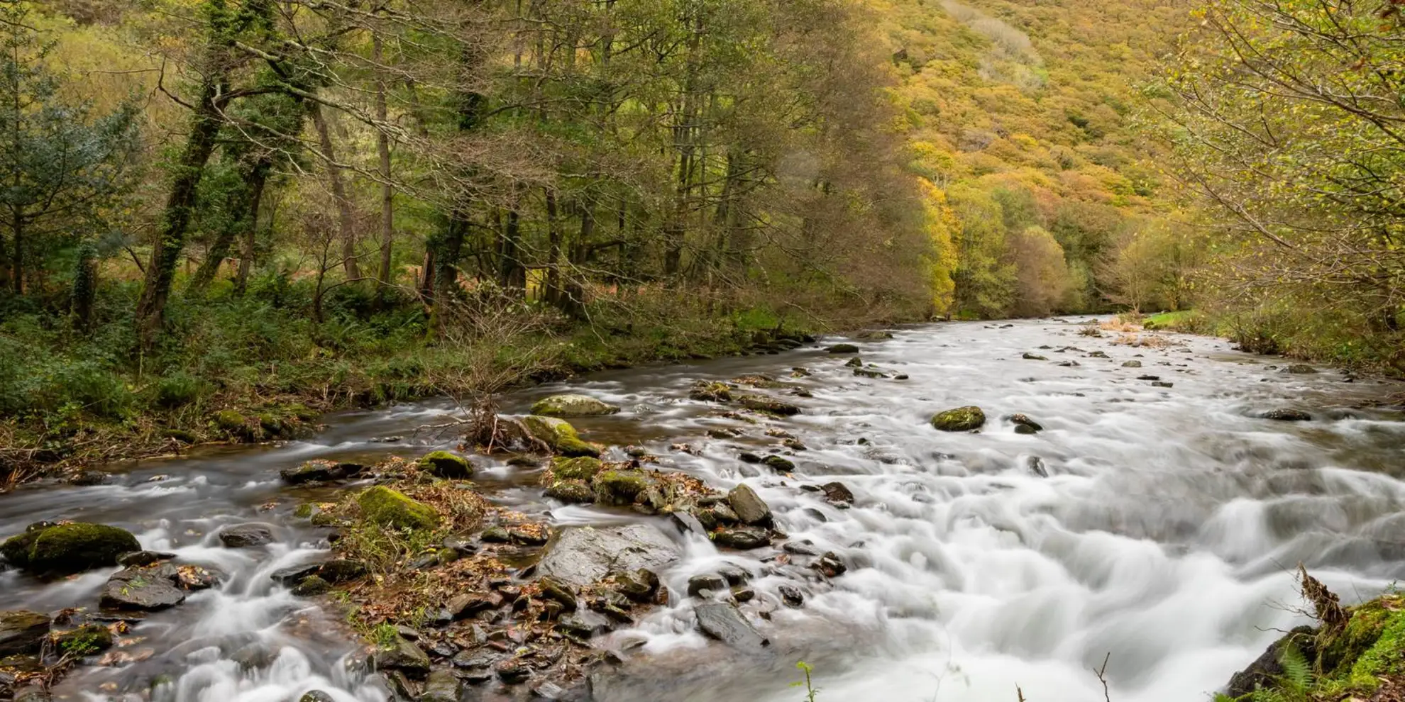 An image depicting the trail Watersmeet to Ash Bridge Circular Walk and its surrounding area.