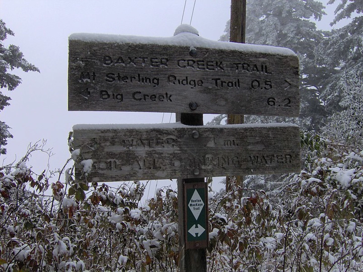An image depicting the trail Baxter Creek Trail and its surrounding area.
