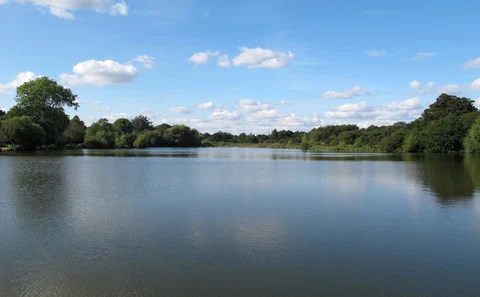 An image depicting the trail Hatfield Forest Loop and its surrounding area.