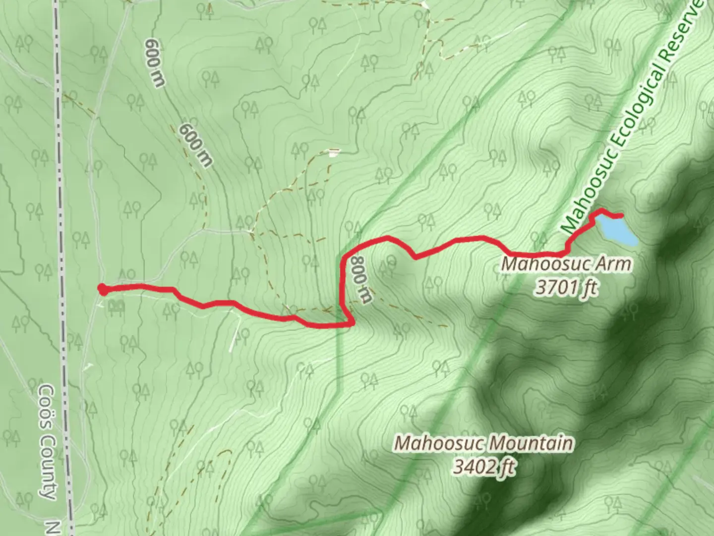 An image depicting the trail Speck Pond Trail and its surrounding area.