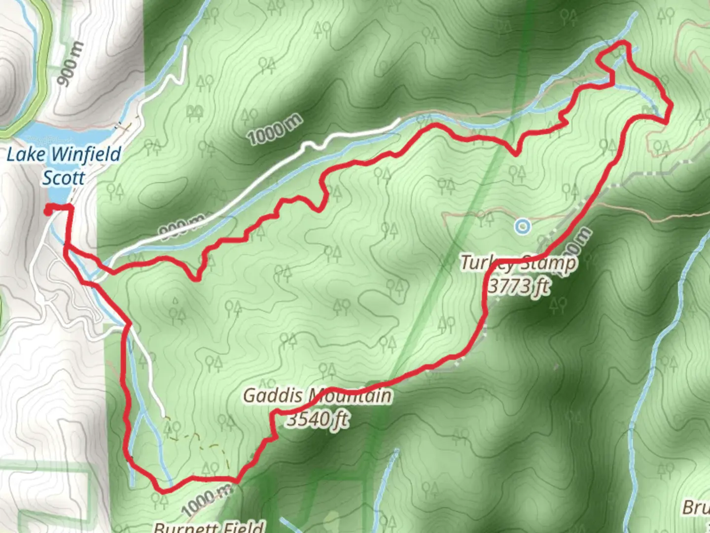 An image depicting the trail Gaddis Mountain and Turkey Stamp - Slaughter Creek Trail and its surrounding area.