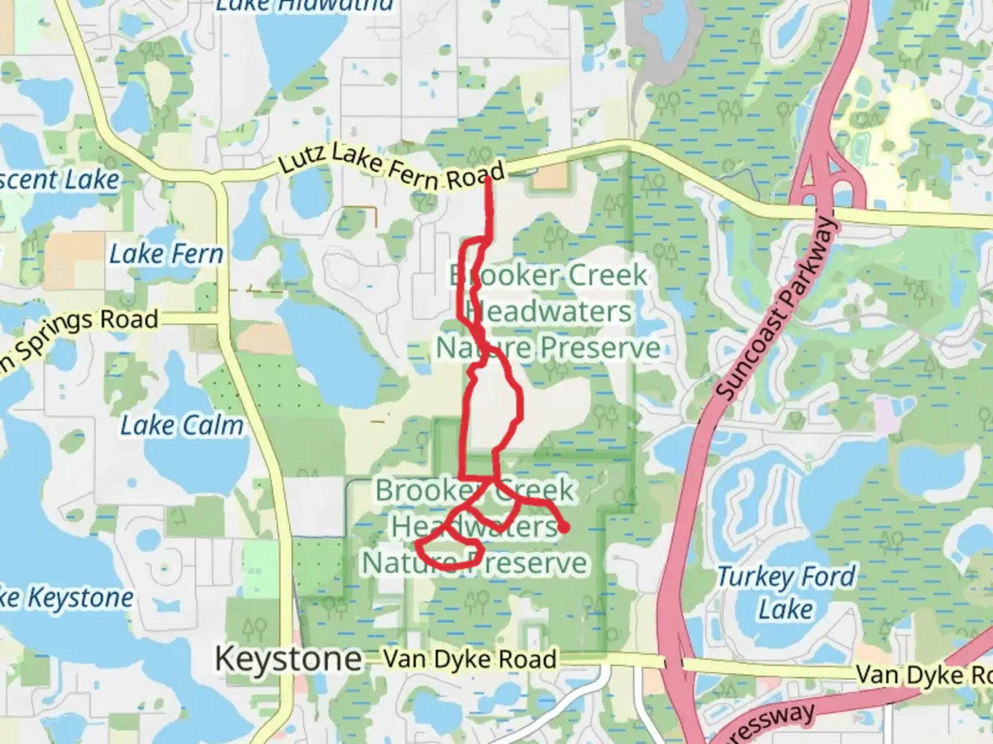 An image depicting the trail Blue Trail and Upper Tampa Bay Trail Loop and its surrounding area.