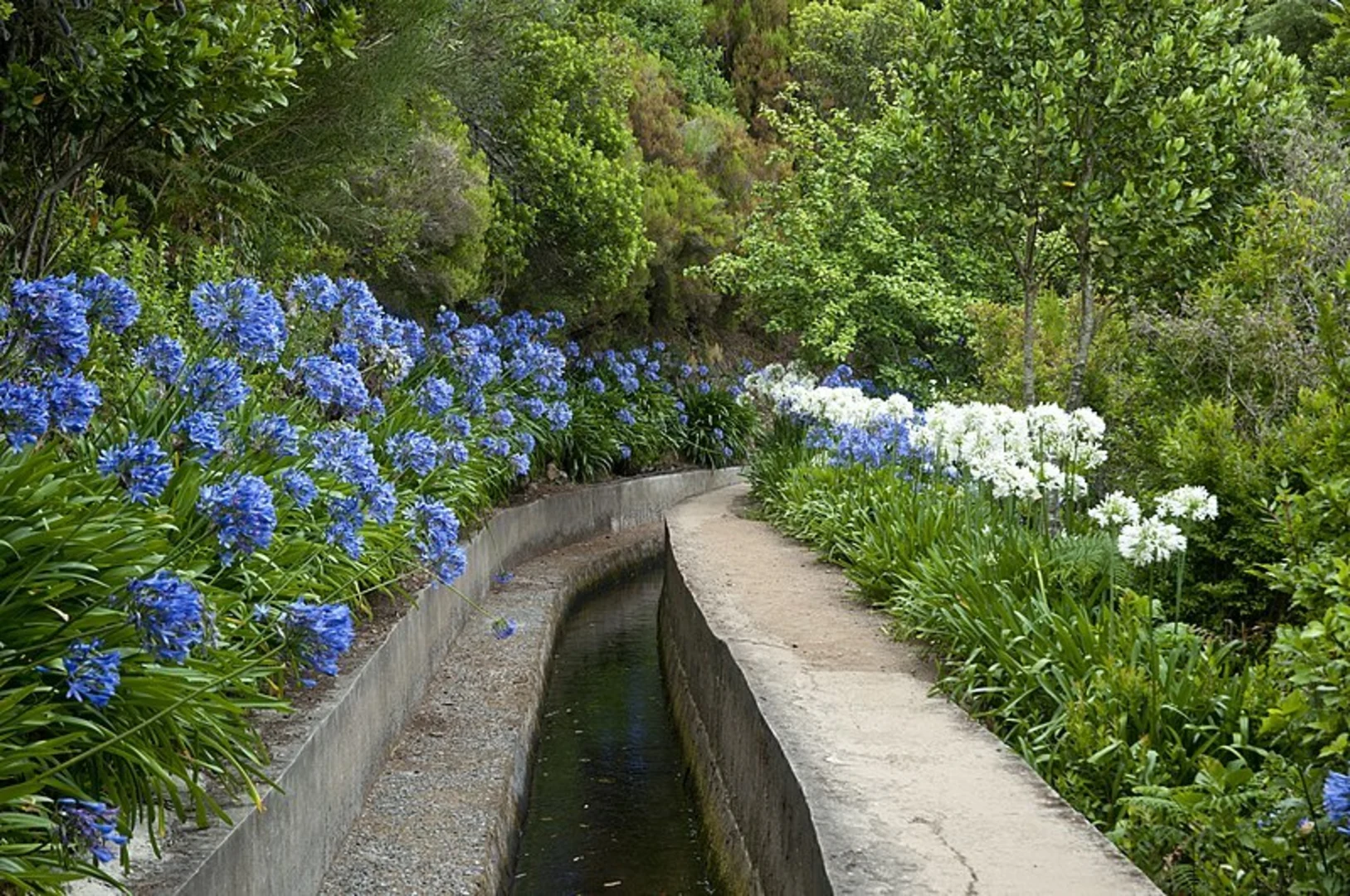 An image depicting the trail Levada do Norte and its surrounding area.