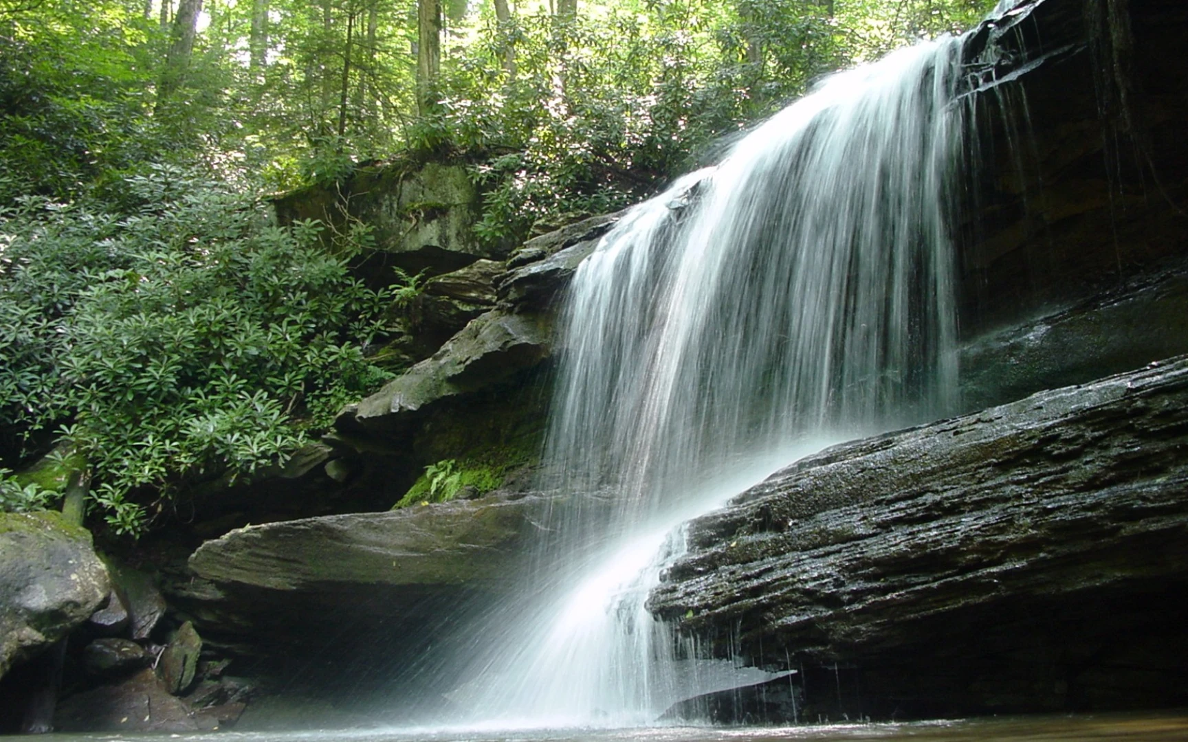 An image depicting the trail Jonathan Run Falls via Ohiopyle Hiking and its surrounding area.
