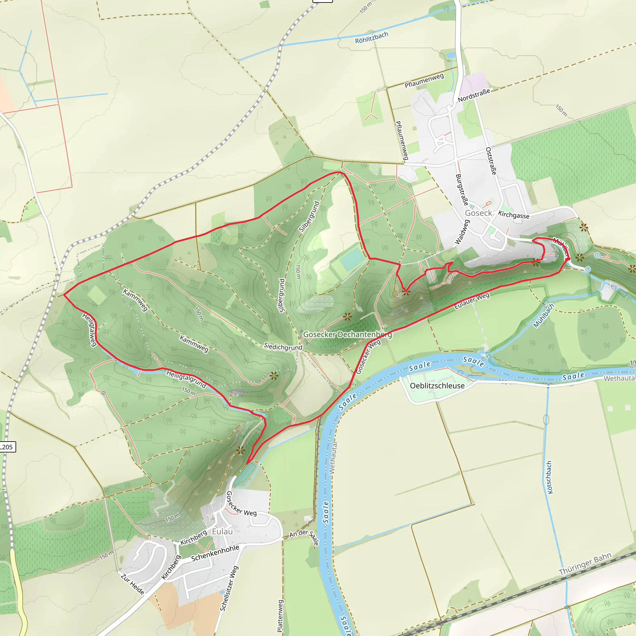 Schloss Goseck and Bärenhöhle Loop mobile static map