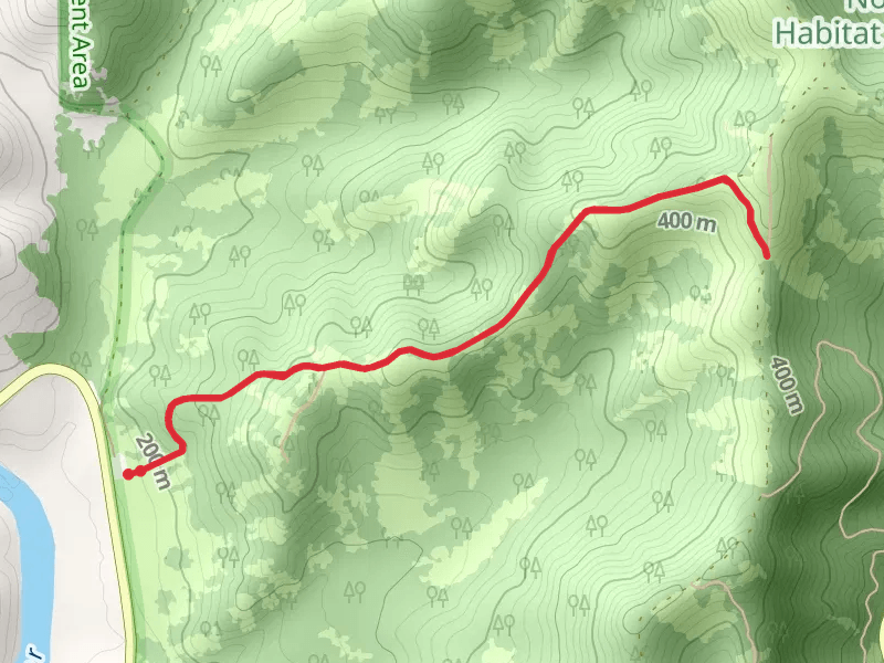 Blacktail Ridge Trail