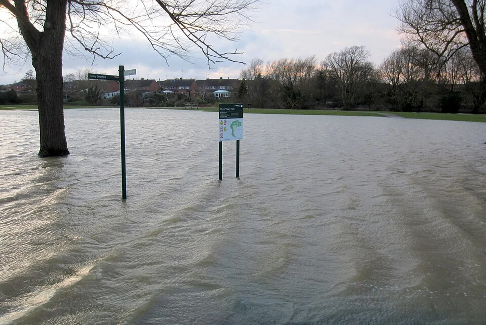 An image depicting the trail The Floodplain Forest Nature Reserve and Ouse Valley Park Loop and its surrounding area.