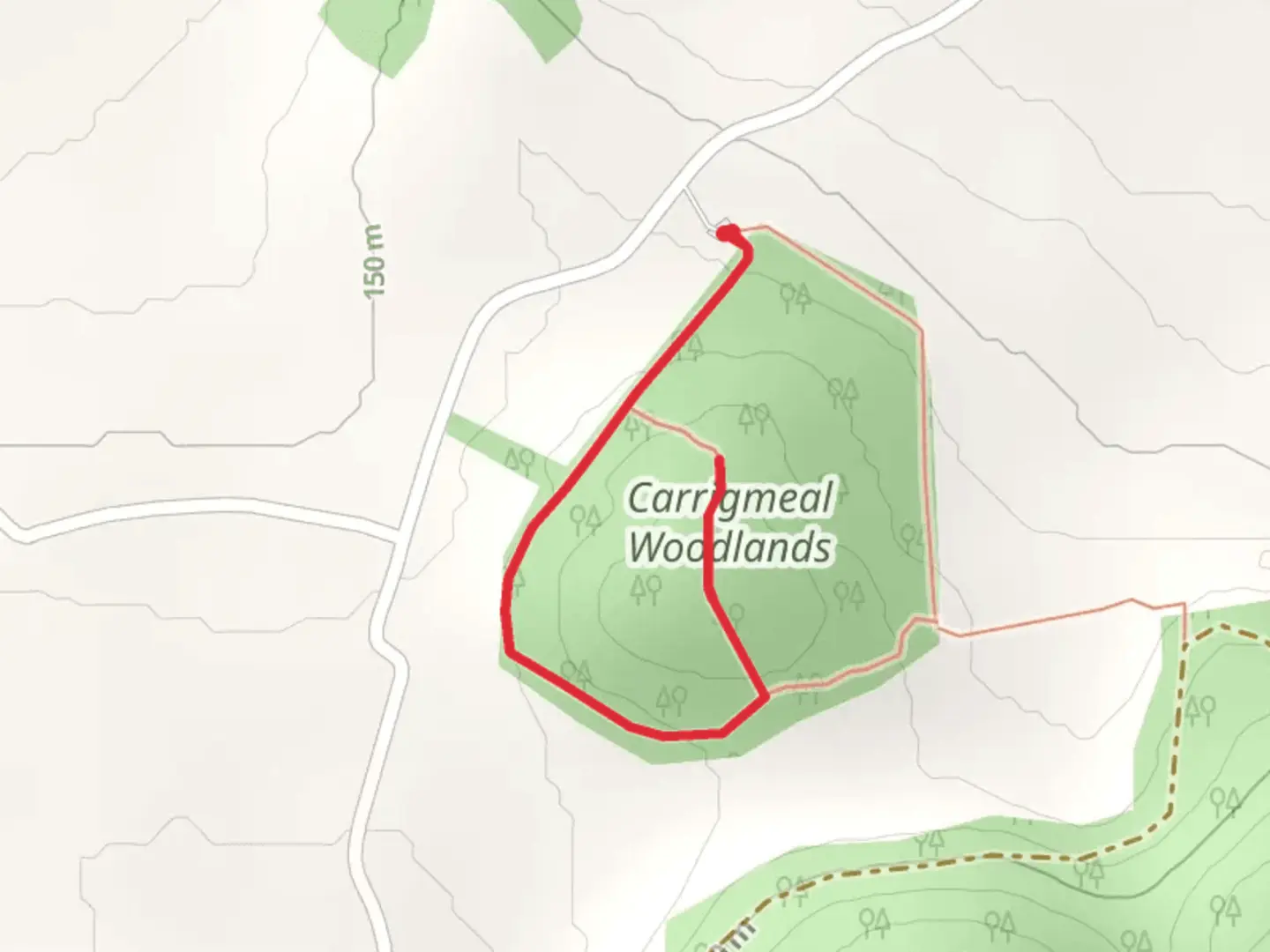 An image depicting the trail Carrigmeal Woodlands Loops - Tir na nÓg and its surrounding area.
