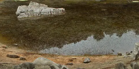 An image depicting the trail Lake Kiriopukae Walk and its surrounding area.