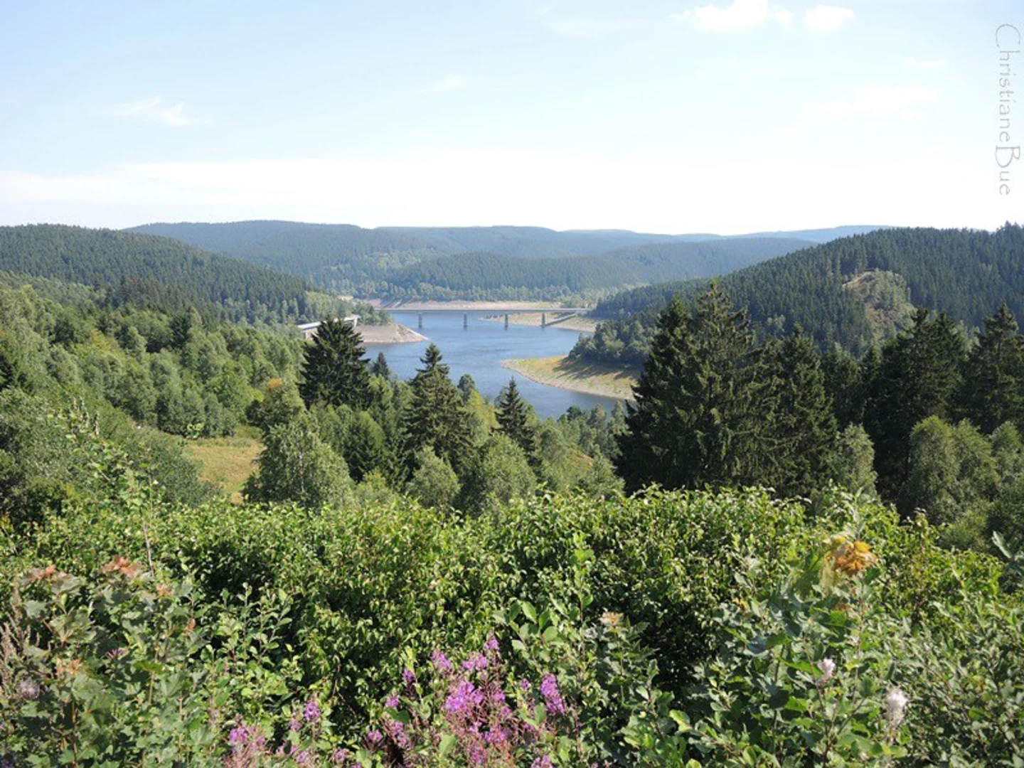 An image depicting the trail Okerstausee Loop and its surrounding area.