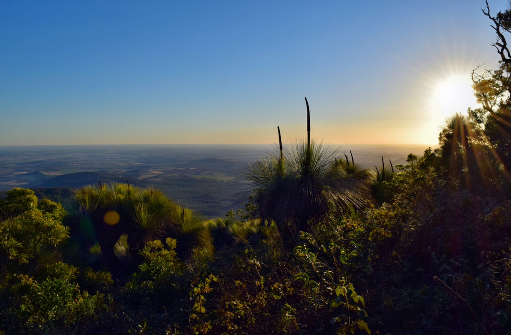 An image depicting the trail Mount Kiangarow Track and its surrounding area.