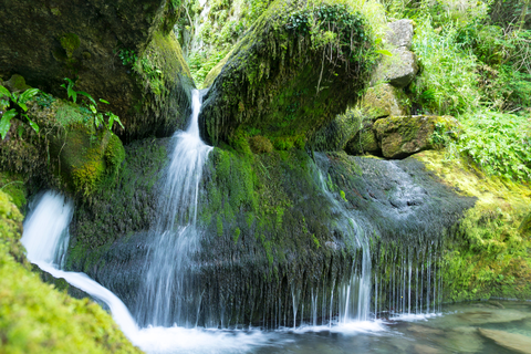 An image depicting the trail GR 20 - Return to Aralar and its surrounding area.