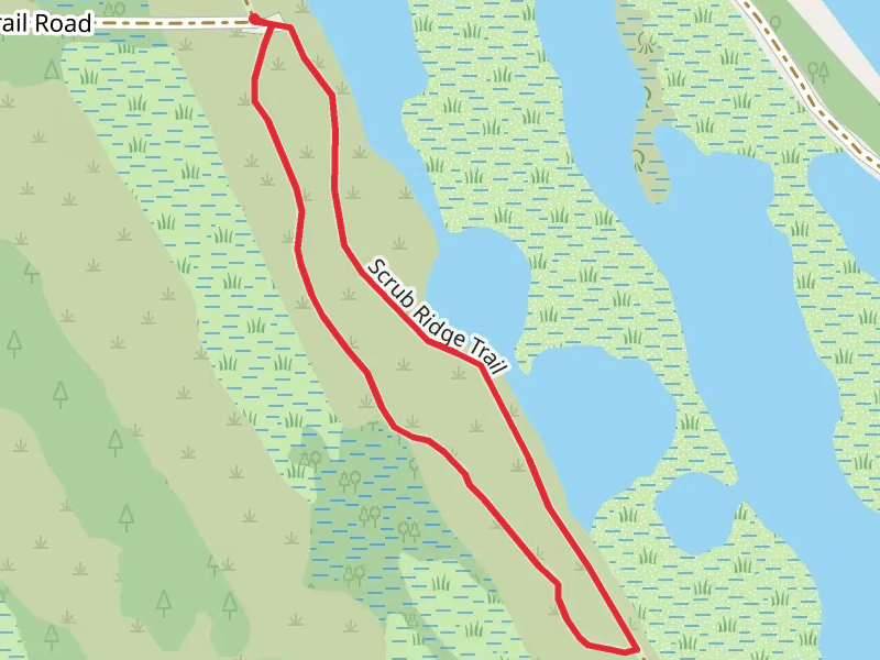 Scrub Ridge Loop Trail