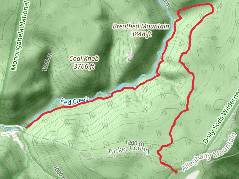 Rohrbaugh and Red Creek Trail