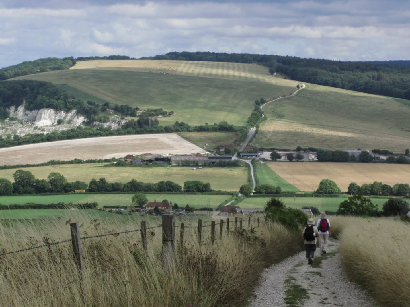 An image depicting the trail Cocking Loop and its surrounding area.