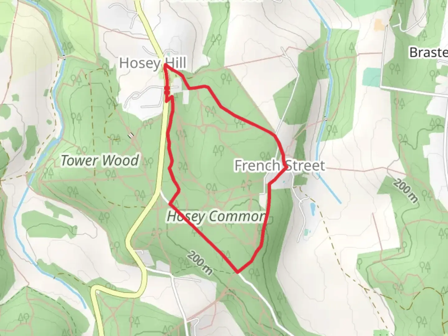 An image depicting the trail Hosey Common Loop and its surrounding area.