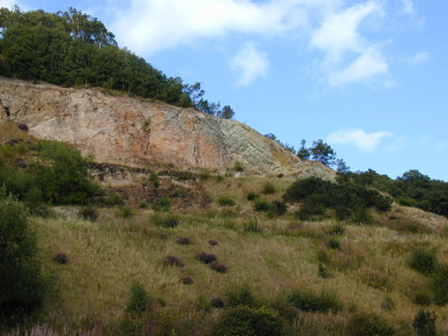 An image depicting the trail The Ercall Loop and its surrounding area.