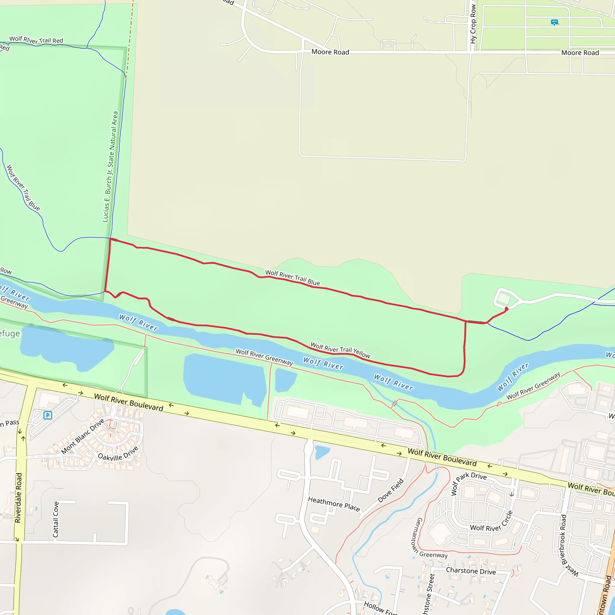 Wolf River Trail Blue Loop mobile static map