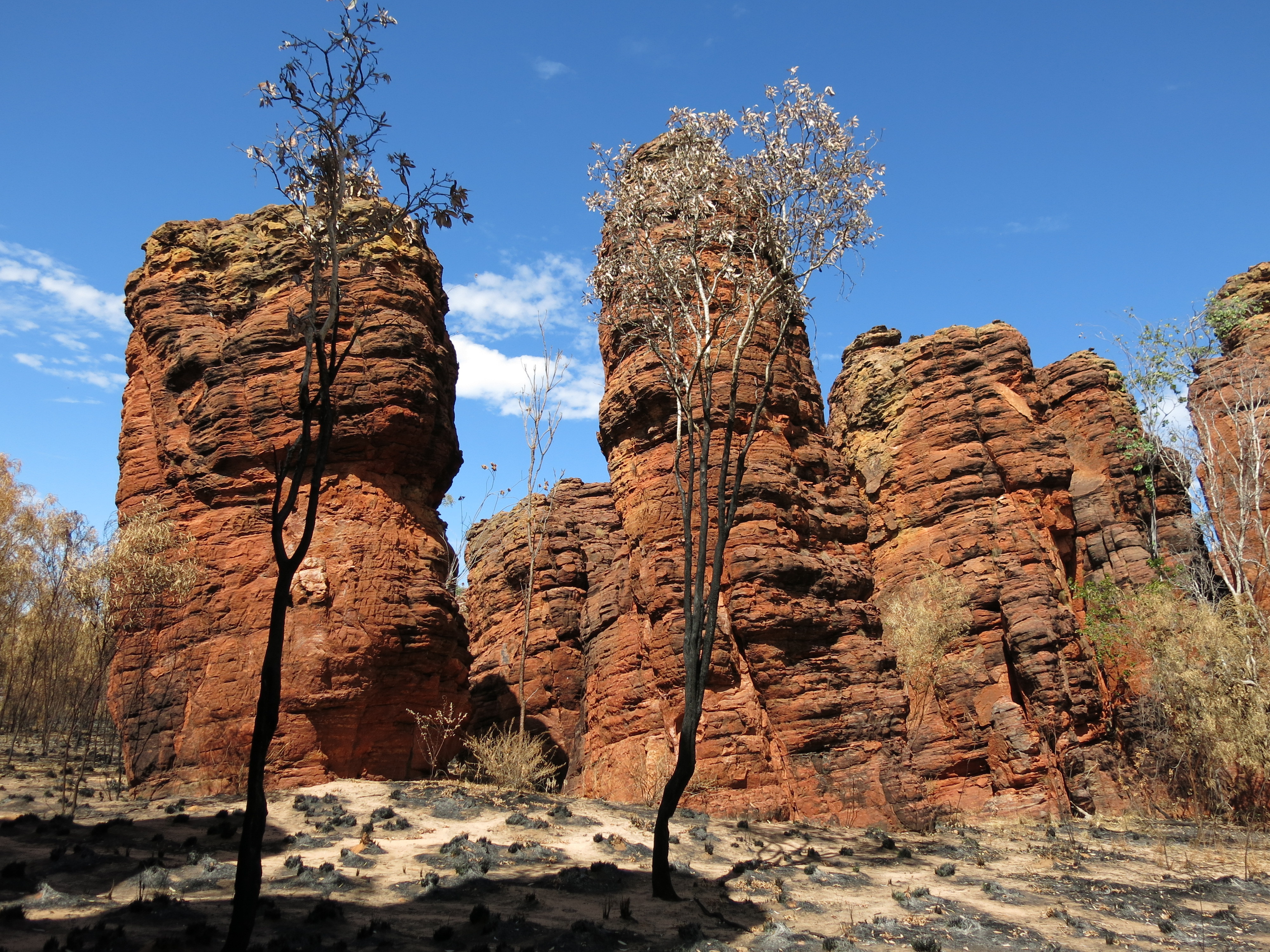 An image depicting the trail Limmen National Park and its surrounding area.